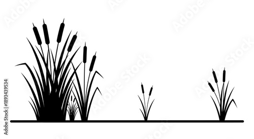 Cattails Silhouette Illustration on White Background.
