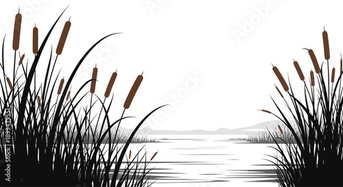 Cattails and Reeds by the Water.