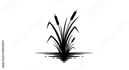 Black Silhouette of Cattails in Water.