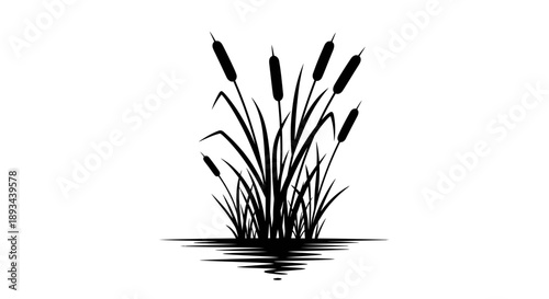 Black Silhouette of Cattails on Water.