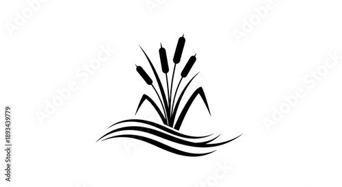 Black Silhouette of Cattails in Water.