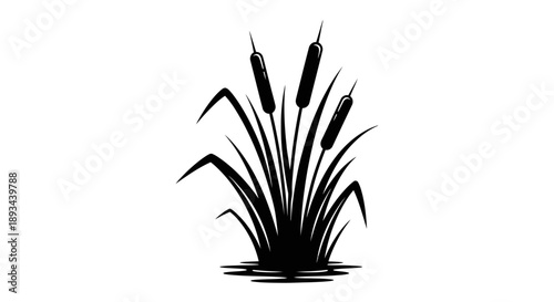 Black Silhouette of Cattails Plant Illustration.