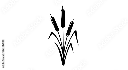 Cattail Plant Illustration Simple Black Silhouette.