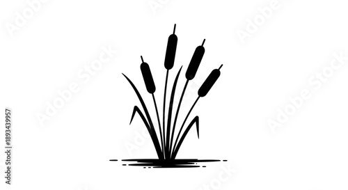 Cattails Silhouette Illustration on White Background.