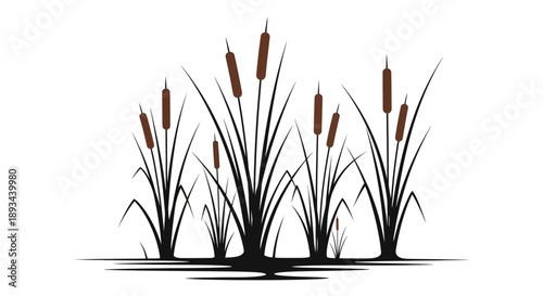 Cattails Plants Illustration Silhouette Black White.