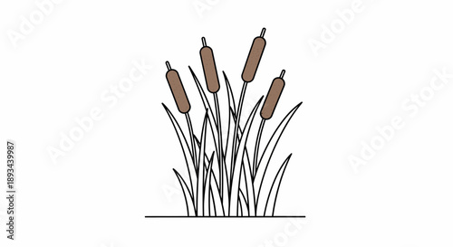 Cattails Illustration Simple Line Art Style.