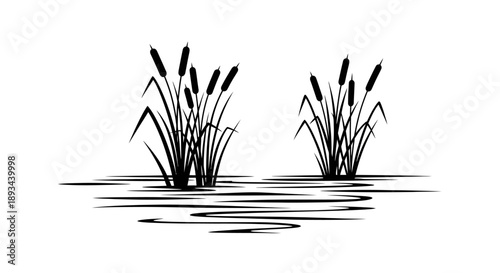 Cattails Growing in Calm Water Illustration.