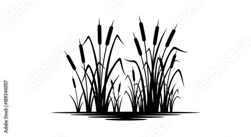 Black Silhouette of Cattails and Reeds.