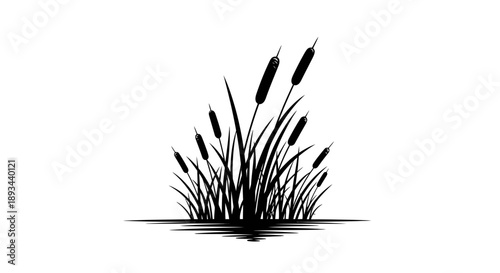 Black Silhouette of Cattails on Water.