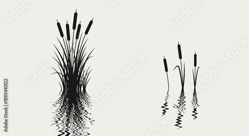 Cattails and Reeds in Water Illustration.