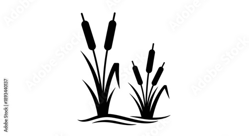 Cattails Silhouette Illustration on White Background.