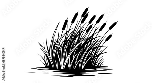 Black and White Illustration of Cattails.