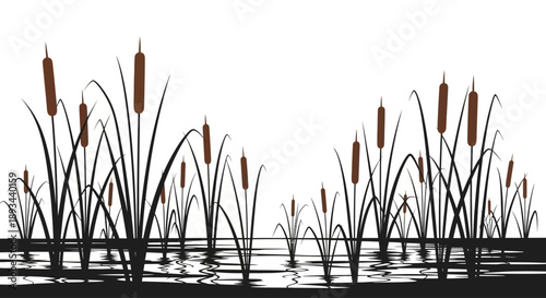 Cattails Silhouetted Against White Background.