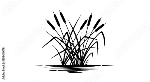 Black Silhouette of Cattails in Water.