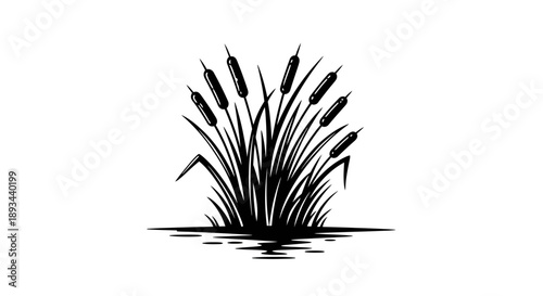 Black Silhouette of Cattails in Water.