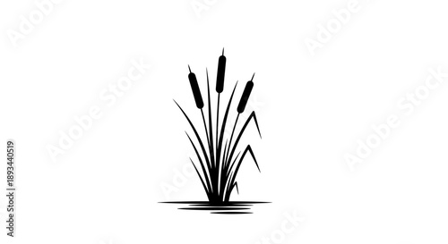 Black Silhouette Illustration of Cattails.