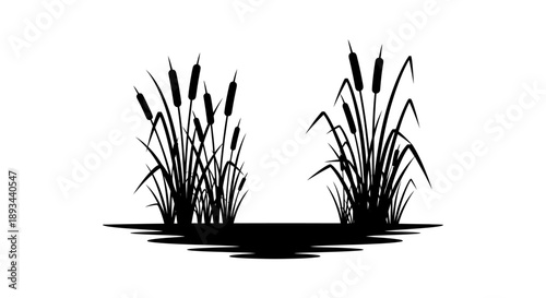Cattails Silhouette Illustration on White Background.