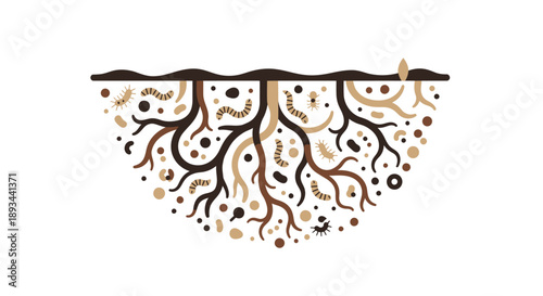 Illustration of underground root system with visible roots and soil structure.