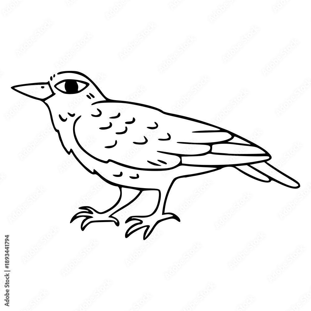Obraz premium doodle raven line art isolated on white background