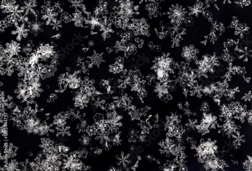 Natural holiday background of different shapes and sizes of shiny snowflakes ...