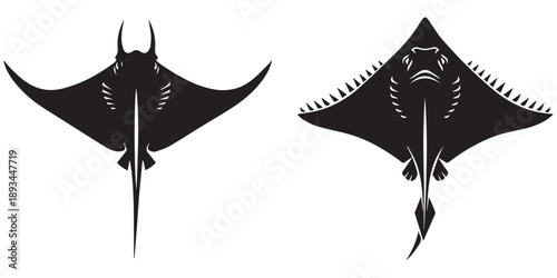 Stingray gliding ocean manta sea creature marine animal flat fish eps 10