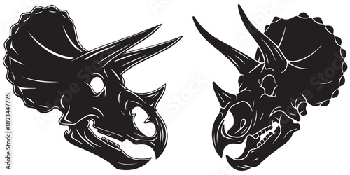 Dinosaur skull ancient fossil prehistoric reptile triceratops head eps 10