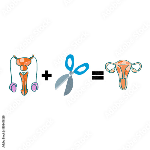 Man + Scissor = Woman
