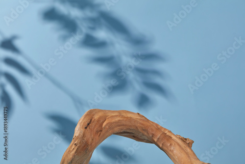 Abstract pastel background with a curved wooden branch and leaf shadows, usable as a minimalist design or product backdrop
