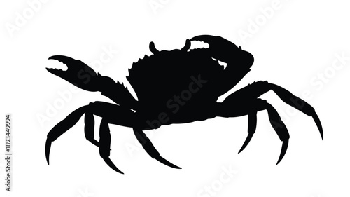 a striking black crab illustration presented as a clean simple silhouette