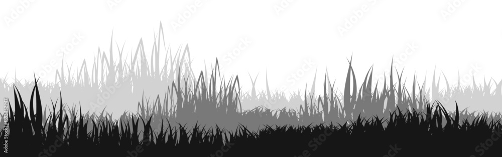 Fototapeta premium Meadow silhouette with grass, plants on plain. Panoramic summer lawn landscape with herbs, various weeds. Herbal border, frame element. Black horizontal banners. Vector illustration