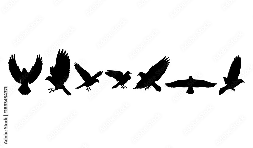 Fototapeta premium Black flying birds icon set in solid minimal style for vector design and UI