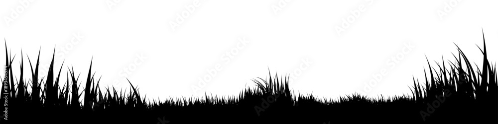 Fototapeta premium Meadow silhouette with grass, plants on plain. Panoramic summer lawn landscape with herbs, various weeds. Herbal border, frame element. Black horizontal banners. Vector illustration