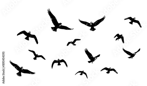 Grunge black flying birds vector set in brush hand-drawn style for decorative design
