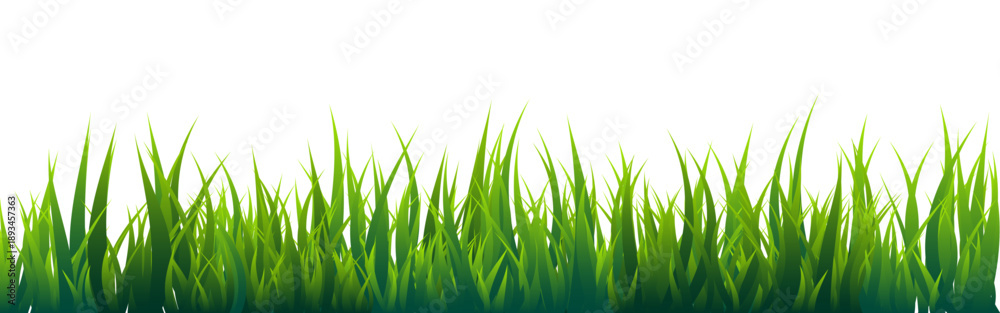 Fototapeta premium Meadow silhouette with green grass, plants on plain. Panoramic summer lawn landscape with herbs, various weeds. Herbal border, frame element. Black horizontal banners. Vector illustration