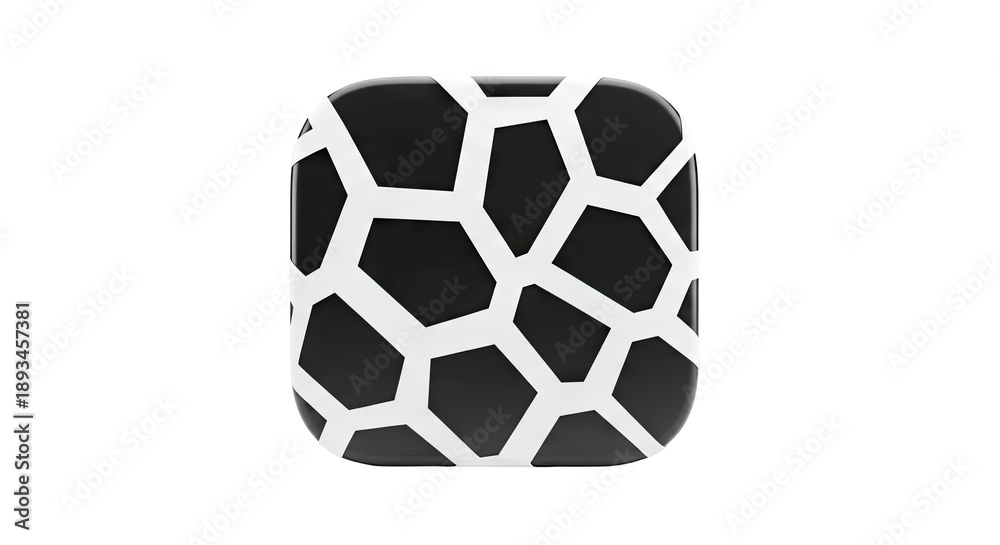 Obraz premium Black and White Geometric Patterned Object