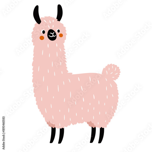 Flat vector illustration in a simple children's style. Cute pink llama. Vector illustration