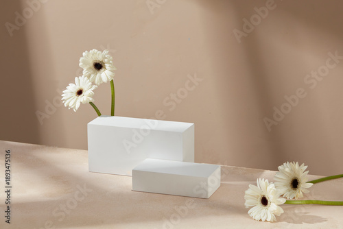 Εκτύπωση καμβά Layered white podium combined with white gerbera flowers and soft shadows, desig