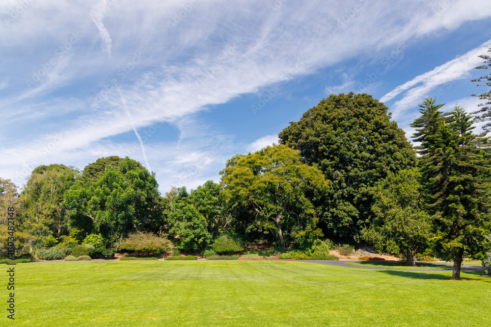 Obraz premium A vast green grass meadow stretching towards the horizon with a trees