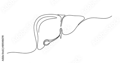 Minimalist one-line art of a stethoscope and liver sketch. No editable stroke