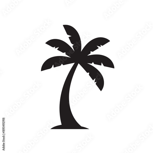 Palm Tree Silhouette
