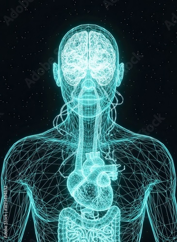 Detailed digital illustration of the human body's internal anatomy and nervous system from a frontal viewpoint