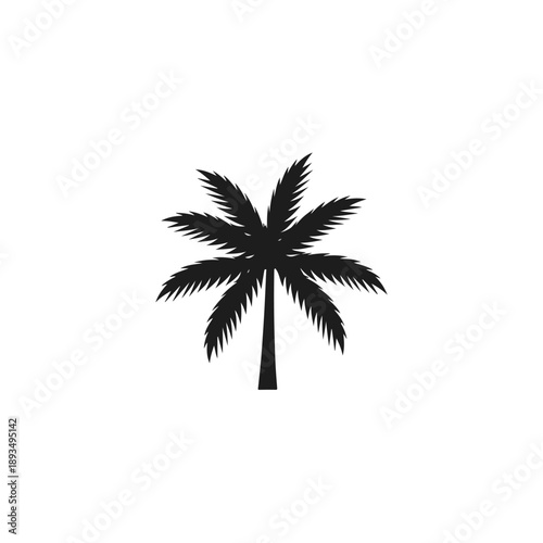Palm Tree Silhouette