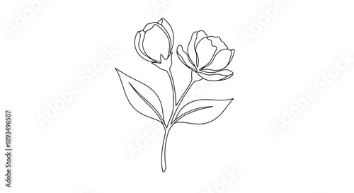Delicate single line art illustration of two elegant flower buds with leaves on a stem against a plain white background.