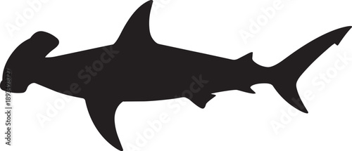 A striking silhouette of a hammerhead shark swimming gracefully