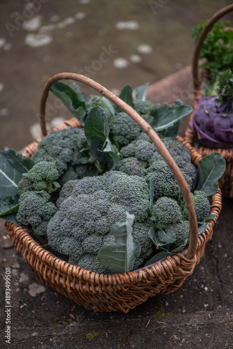 Fresh broccoli harvest in wicker basket close-up