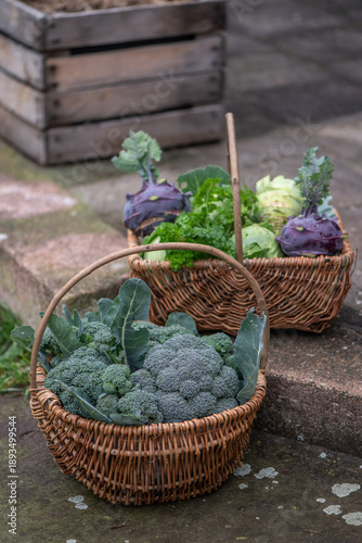 Fresh organic vegetables harvest in wicker baskets outdoors