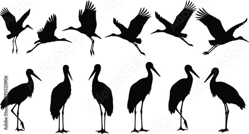 Black, crane, bird, silhouette, set, flying, standing, wildlife, nature, avian, migration, wings, animal, elegant, motion, vector, illustration, collection, design, concept