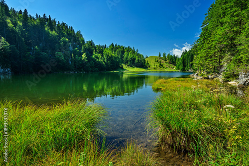 Alpine Lake Taubensee in Tyrol Austria with tranquil scenic nature