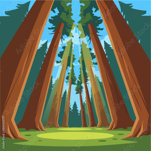 Redwood Forest View Looking Up Giant Trees Stylized Art