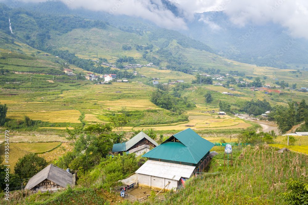 Obraz premium Cluster of rural houses with green roofs nestled on a hillside overlooking expansive terraced rice fields and a winding river in the Sapa region of Vietnam. Misty mountains and low clouds create a